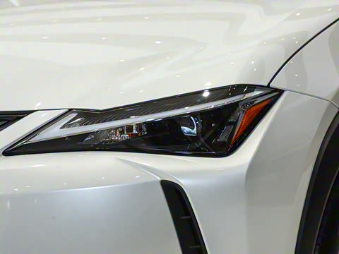 2024�� 300h ̽���