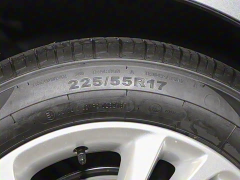 2024�� �Ŀ� 25T ������