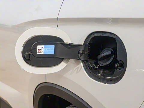 2025�� DM-i �Ǽݰ� 115KM������