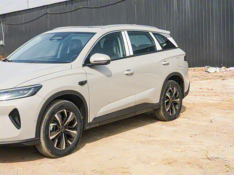 2025�� DM-i �Ǽݰ� 115KM������