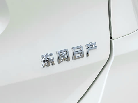 2025�� ���� 2.0L �������Ȱ�