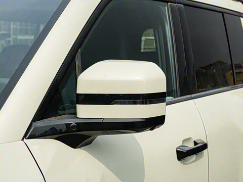 2025�� �����Ǽ�Max��