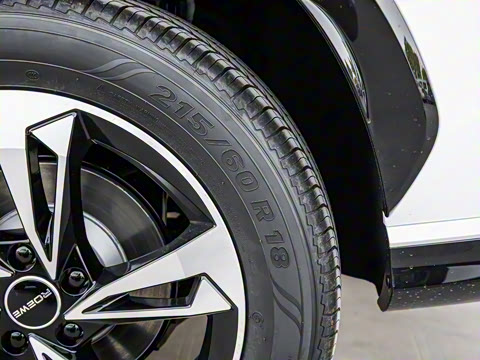 2024�� 135������