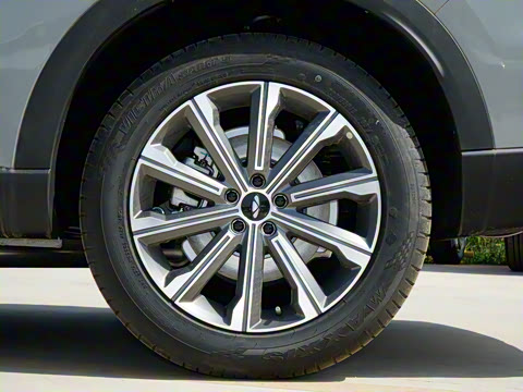 2025�� 120 �������������� 5�� ��Ԫ�