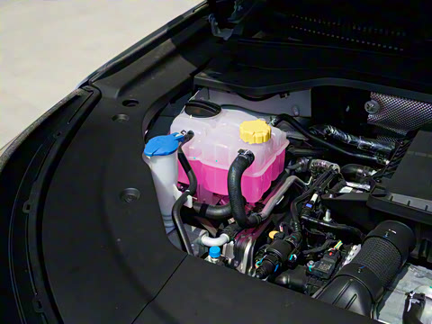 2025�� 120 �������������� 5�� ��Ԫ�