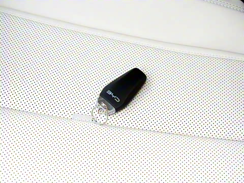 2024�� DM-i 120KM��Խ��