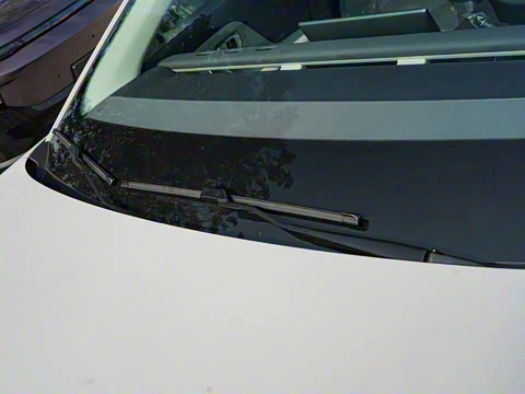 2025�� 550�����״��