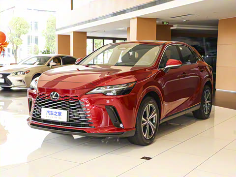 2025�� 300 ����������