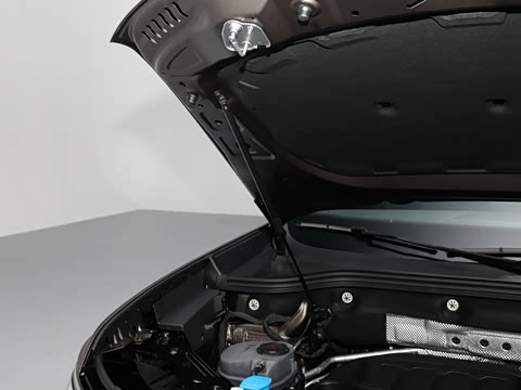 2025�� ;�� Pro 450TSI �����Ƿ��