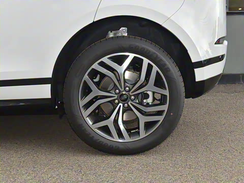 2024�� ��ʤ����L SE Ԧ����ҫ��