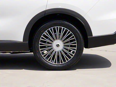 2025�� 120 ���������콢�� 5�� �������