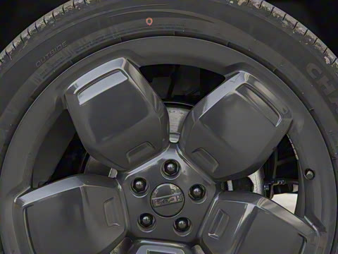 2025�� 501�����Ǽݰ�