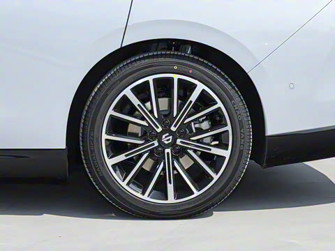 2025�� 550������