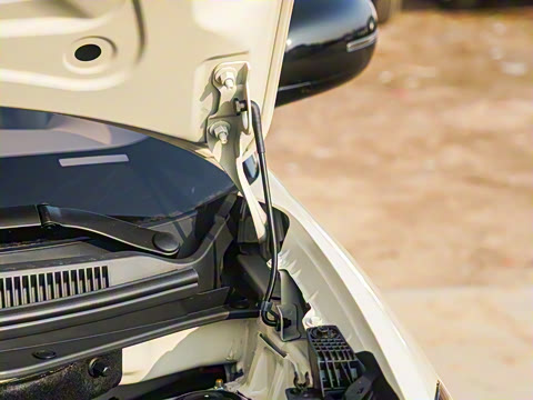 2025�� 333km ��Ϭ������