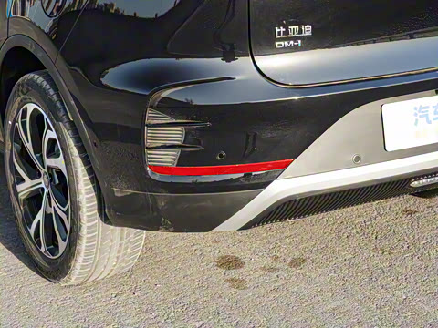 2025�� �Ǽݰ� DM-i 115KM �콢��