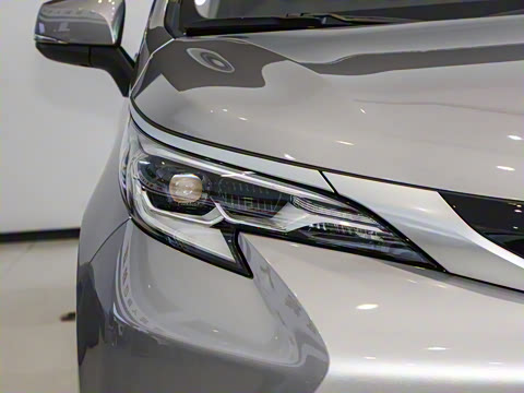 2024�� 2.5L�춯 ������