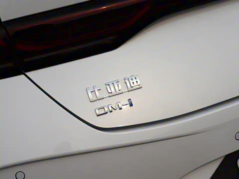 2025�� DM-i �Ǽݰ� 55KM������