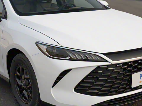 2025�� DM-i �Ǽݰ� 55KM������