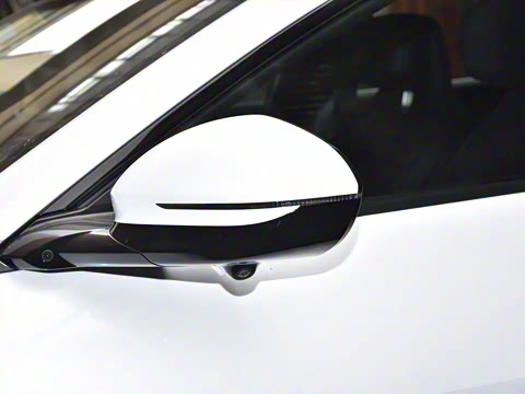 2024�� Max�����