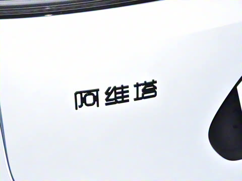 2024�� Max�����