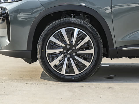 2025�� 1.5T 130km ���� 5��