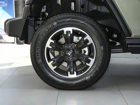 2024�� 2.0T ���Ĺ�