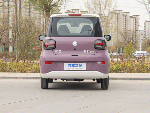 2025�� Pro 201km ���ư�