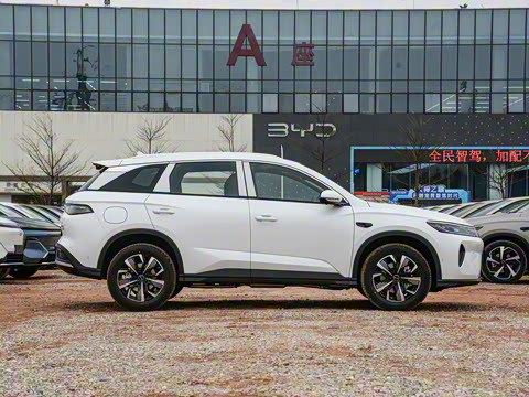 2025�� DM-i �Ǽݰ� 75KM�����