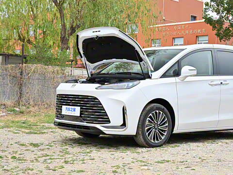 2025�� ½�� ������ 7��