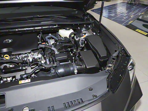 2025�� ˫�� 2.0HG ��԰�