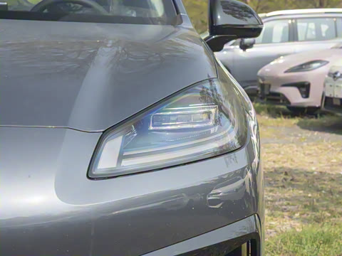 2025�� 650 ������