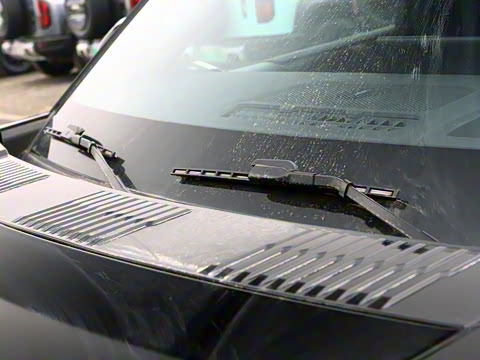 2025�� ���º����� 7��