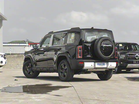 2025�� 2.0T 4WD Pro