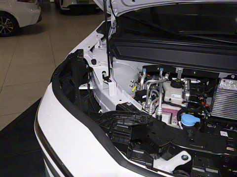 2025�� 520 Pro+ �����״��