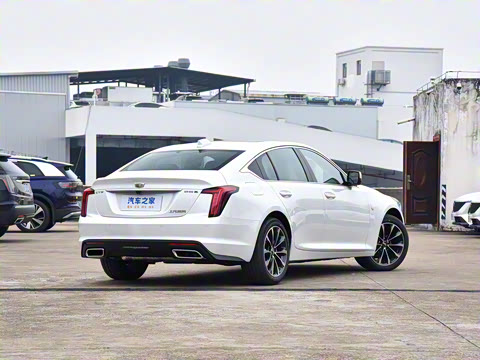 2025�� 28T �����˶���