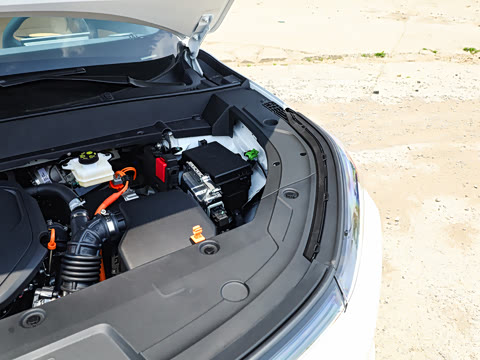 2025�� 55km ������