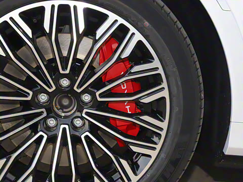 2025�� FREE+ ����Ǭ����