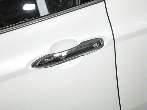 2024�� ˫�� 2.0HGVP ������