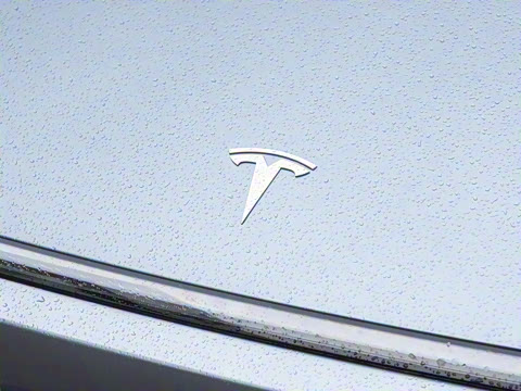 2025�� ����������