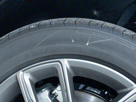 2025�� 165km ������������ 7��