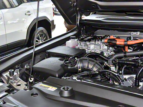 2025�� 2.4T ��ҰWX�� 6��