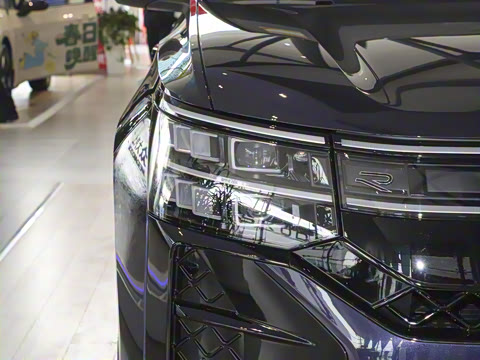 2025�� ;�� Pro 450TSI �����Ƿ��