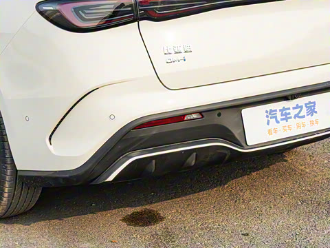 2025�� DM-i �Ǽݰ� 80KM������