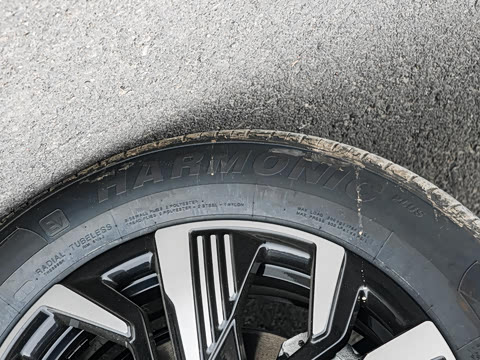 2025�� DM-i �Ǽݰ� 75KM�����