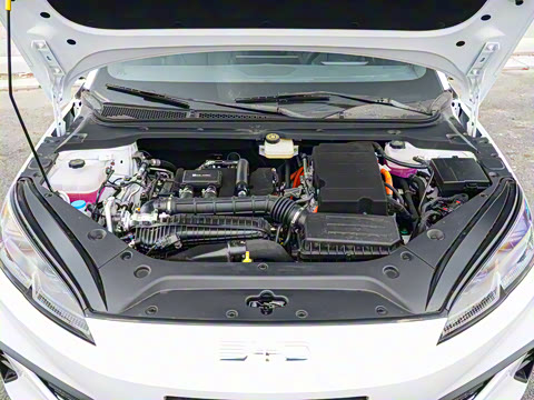 2025�� DM-i �Ǽݰ� 120KM������