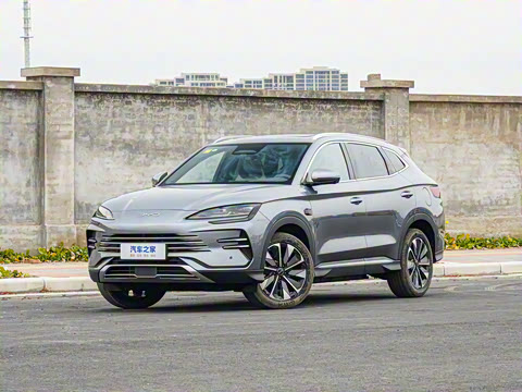 2025�� DM-i �Ǽݰ� 112KM �����