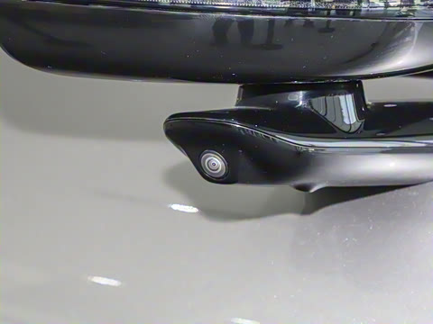 2025�� ������������������Max��