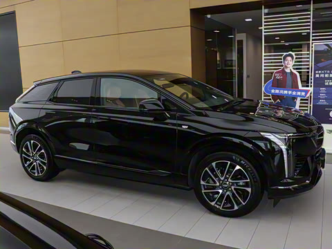 2024�� ������������