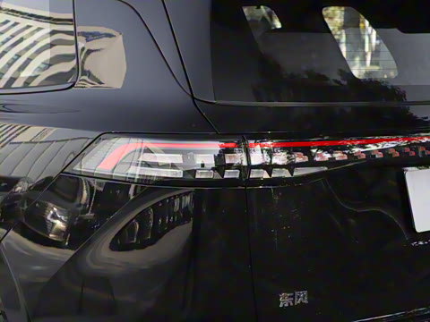 2025�� 636Max����� 5��