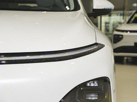 2025�� 625 ������ Max �콢��